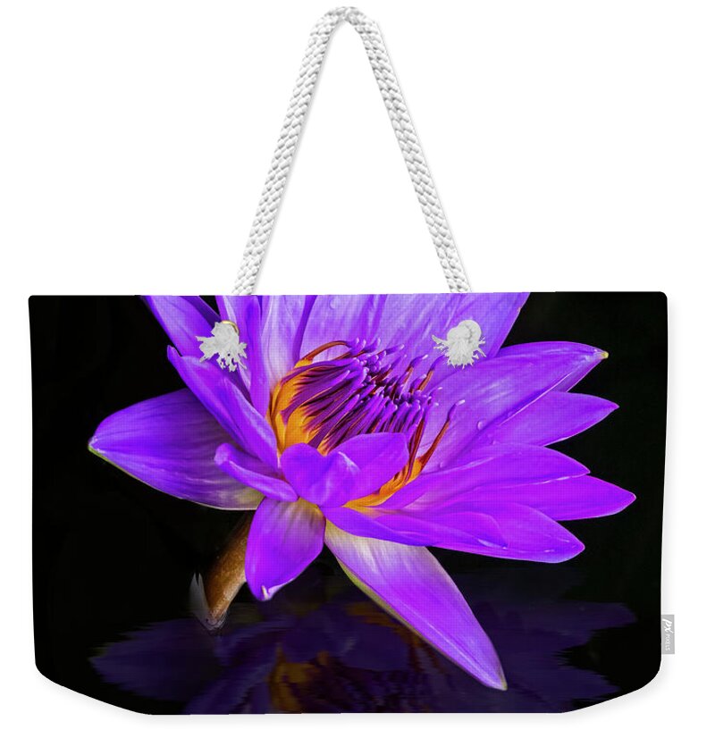 Waterlilies Weekender Tote Bag featuring the photograph Reflecting Waterlily by Susan Candelario