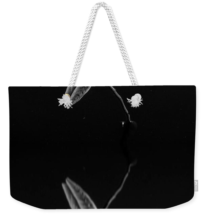 Reflection Weekender Tote Bag featuring the photograph Reflection by Alessandra RC