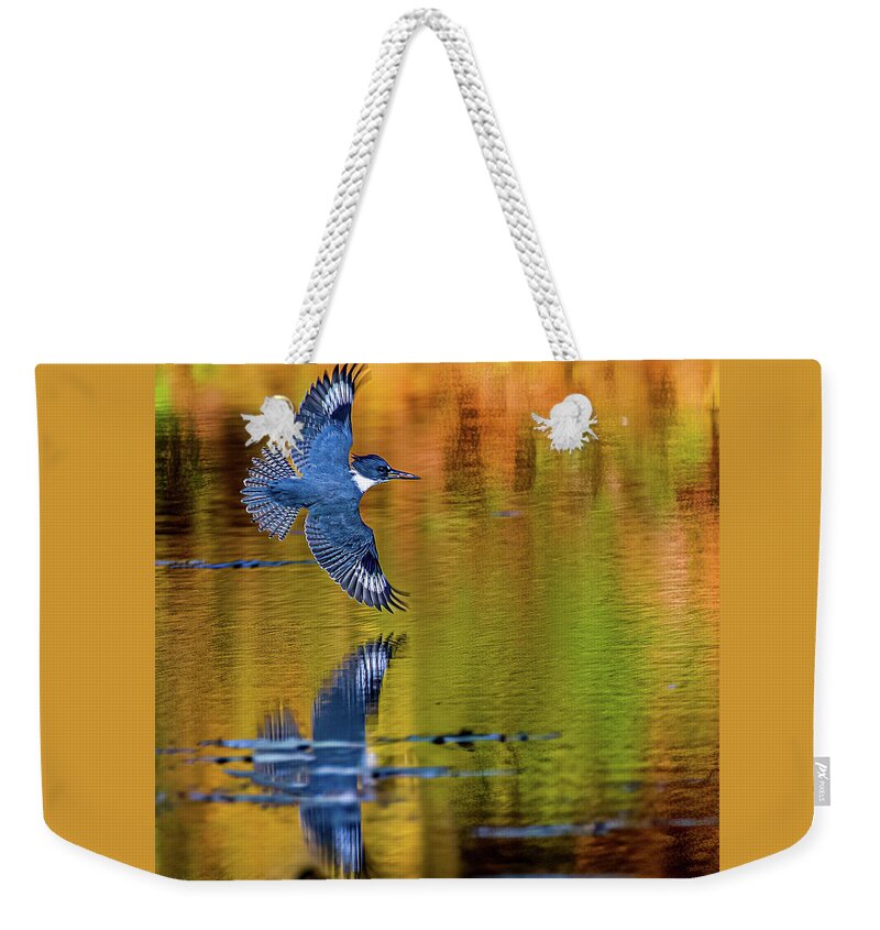 Kingfisher Weekender Tote Bag featuring the photograph Reflections of a King by Brian Shoemaker