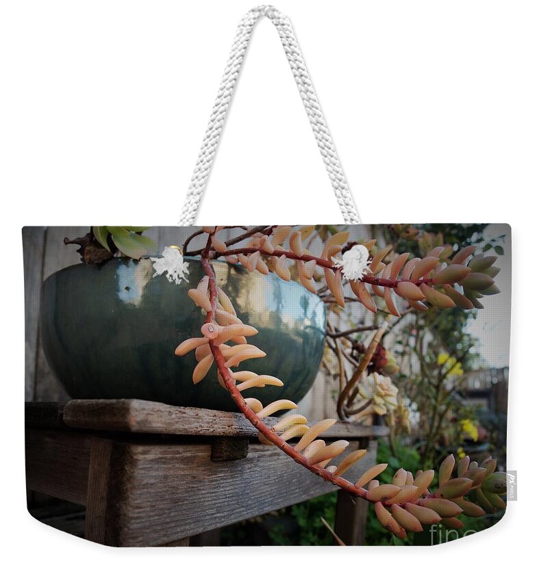 Backyard Weekender Tote Bag featuring the photograph Reflections Still Life by Richard Thomas