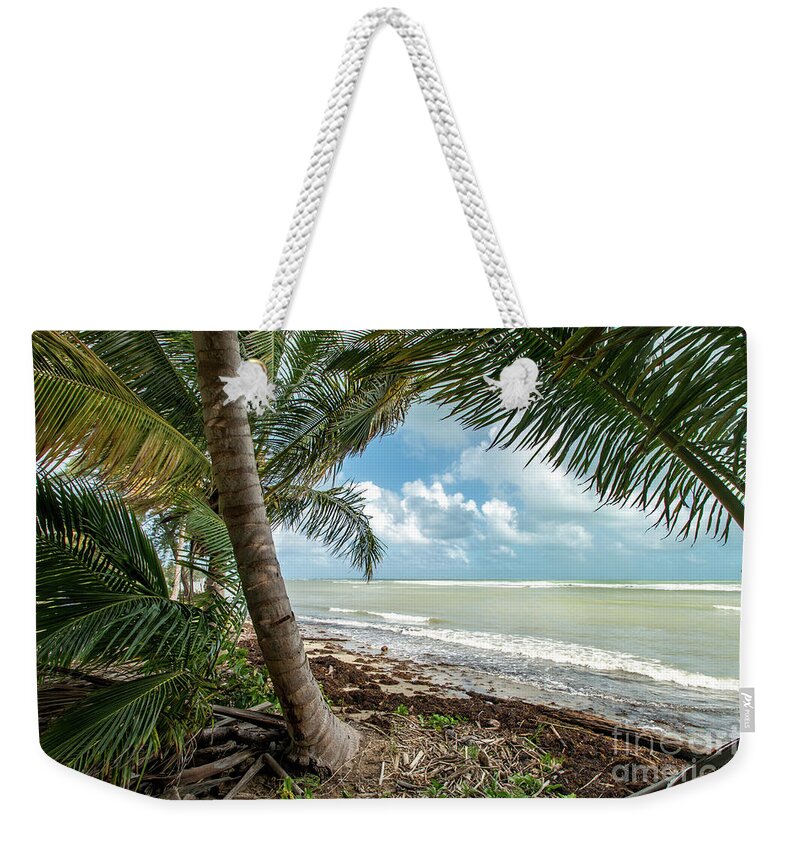 Relax Weekender Tote Bag featuring the photograph Relaxing Under The Palms, Loiza, Puerto Rico by Beachtown Views