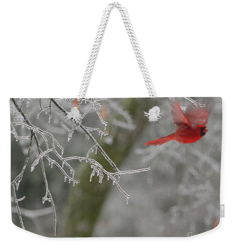 Bird Weekender Tote Bag featuring the digital art Released To Soar by Constance Woods