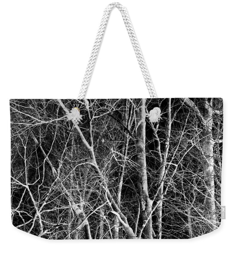 Tres Weekender Tote Bag featuring the photograph Remains of the Day Revisited by Joe Kozlowski
