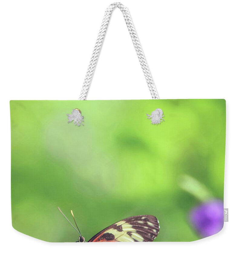Resting Weekender Tote Bag featuring the photograph Resting by Carrie Ann Grippo-Pike