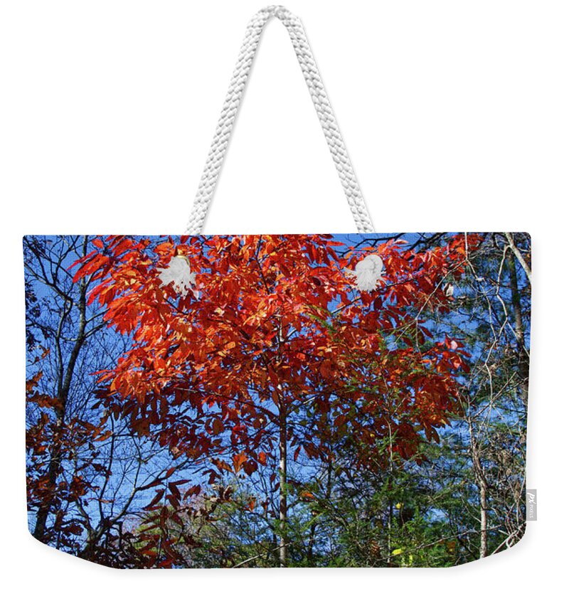 Autumn Weekender Tote Bag featuring the photograph Return to Autumn by Phil Perkins