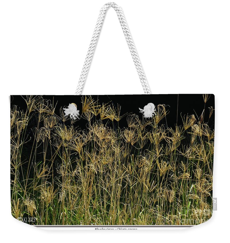 Grass Weekender Tote Bag featuring the photograph Rhodes Grass Chloris gayana by Klaus Jaritz