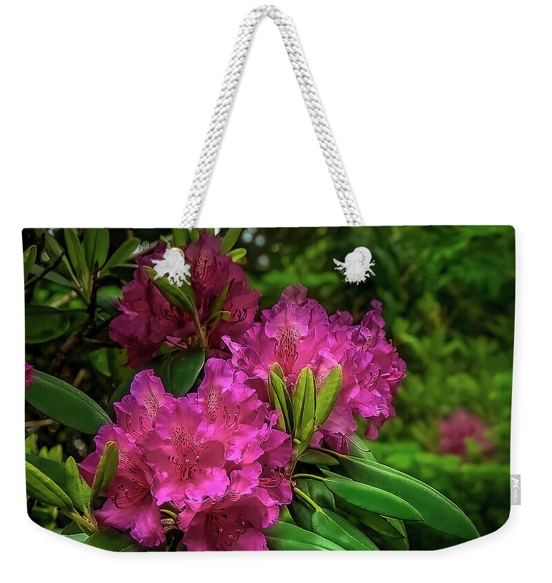 Rhododendron Weekender Tote Bag featuring the photograph Rhododendrons in hiding... by Shelia Hunt