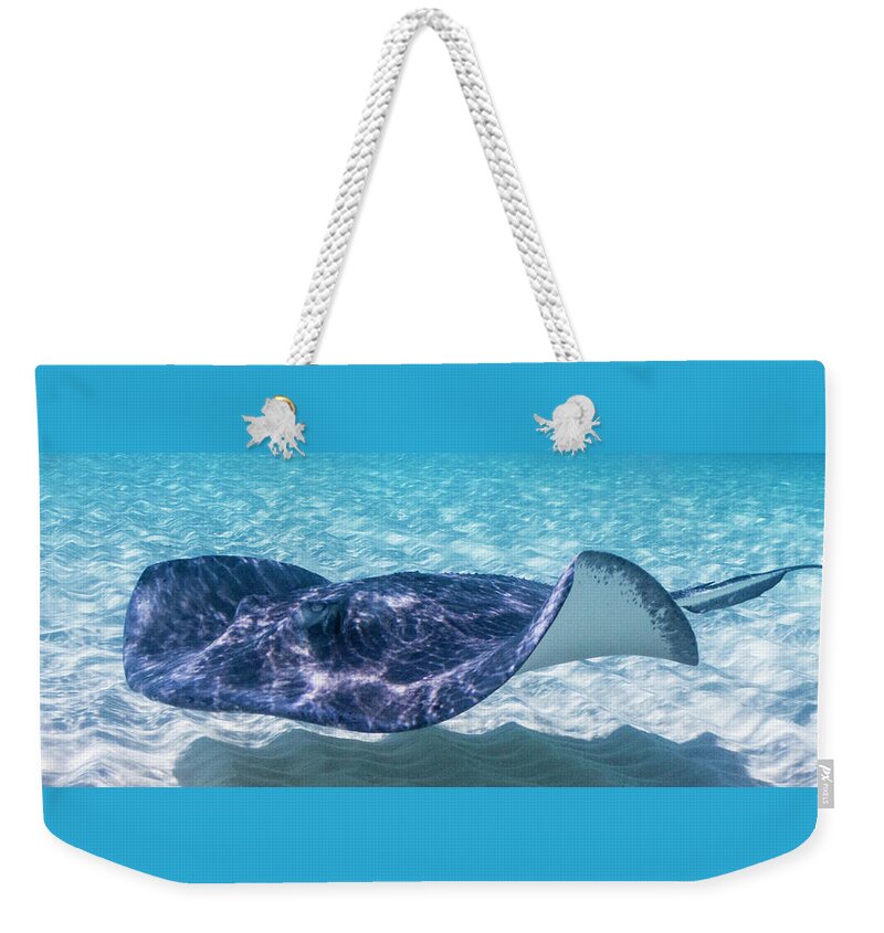 Animals Weekender Tote Bag featuring the photograph Riffles by Lynne Browne