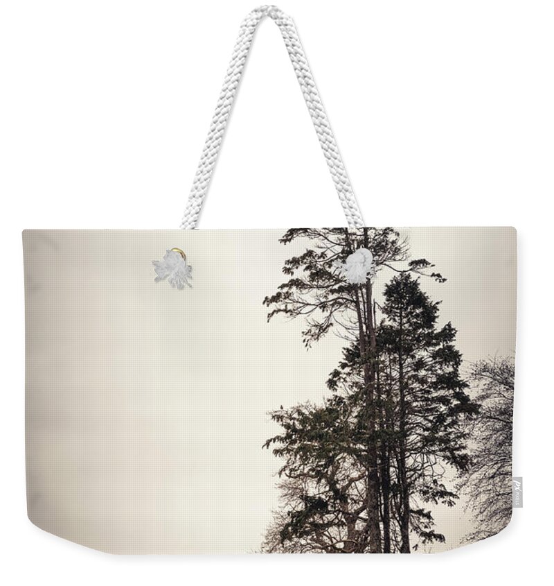Tree Weekender Tote Bag featuring the photograph Right like an I by Philippe Sainte-Laudy