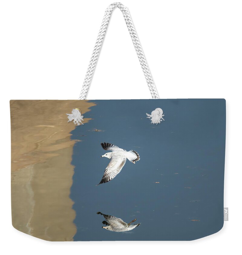 Debra Martz Weekender Tote Bag featuring the photograph Ring-billed Gull In Flight by Debra Martz
