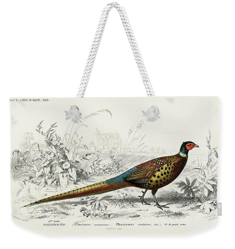 Ring-necked Pheasant Weekender Tote Bag featuring the mixed media Ring-necked Pheasant by World Art Collective