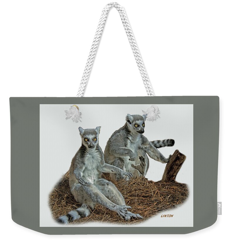 Ring-tailed Lemurs Weekender Tote Bag featuring the digital art RING-TAILED LEMURS cps by Larry Linton