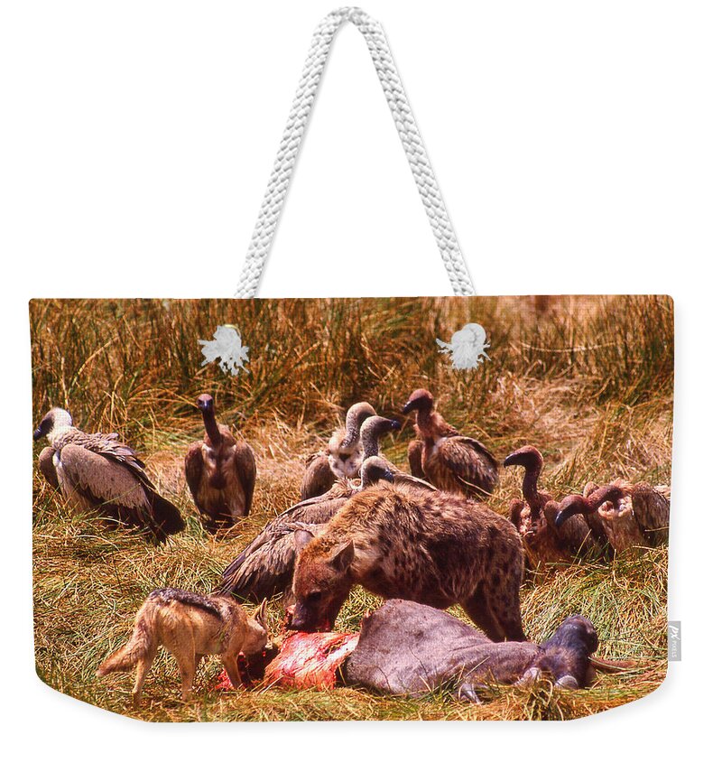 Africa Weekender Tote Bag featuring the photograph Rest In Peace Life Goes On in Africa by Russel Considine