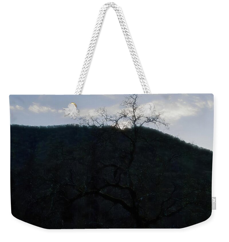Oak Tree Weekender Tote Bag featuring the photograph Rising Over the Hill by Theresa Fairchild