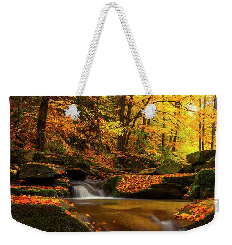 Mountain Weekender Tote Bag featuring the photograph River Rapid by Evgeni Dinev