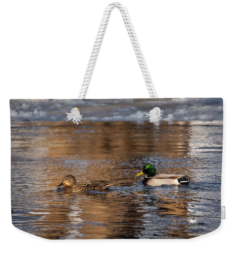 Bird Weekender Tote Bag featuring the photograph River Romance by Linda Bonaccorsi