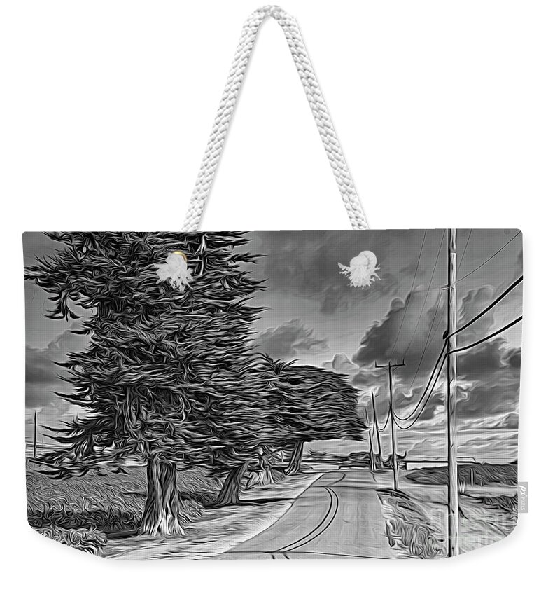 Trees Weekender Tote Bag featuring the photograph Road to Santa Cruz California BW Artistic by Chuck Kuhn