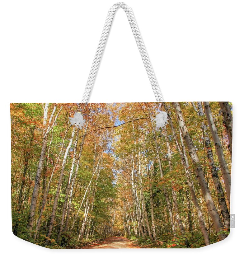 Michigan Weekender Tote Bag featuring the photograph Road to the Trailhead by Robert Carter