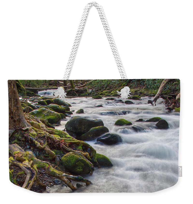  Weekender Tote Bag featuring the photograph Roadside Creek 3 by Phil Perkins