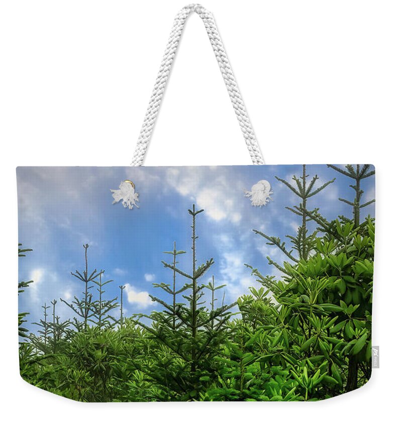 Roan Mountain Weekender Tote Bag featuring the photograph Roan Mountain High by Shelia Hunt