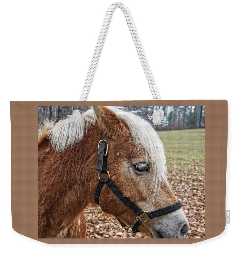 Horse Weekender Tote Bag featuring the photograph Rockefeller Horse Blondie by Russel Considine
