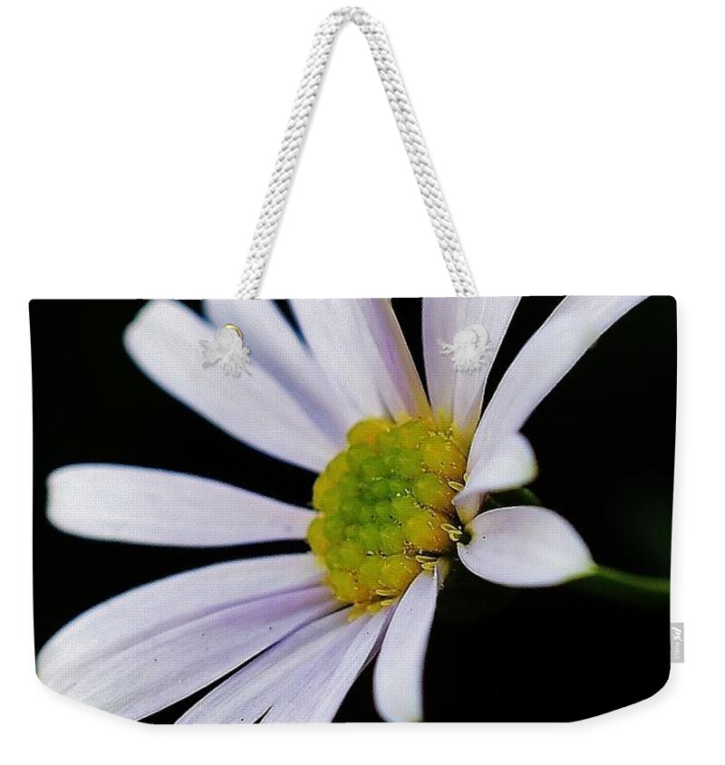 Floral Weekender Tote Bag featuring the photograph Roman Chamomile by Jimmy Chuck Smith
