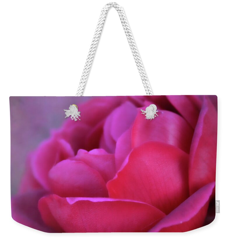 Rose Weekender Tote Bag featuring the photograph Romancing the Rose by Sally Bauer