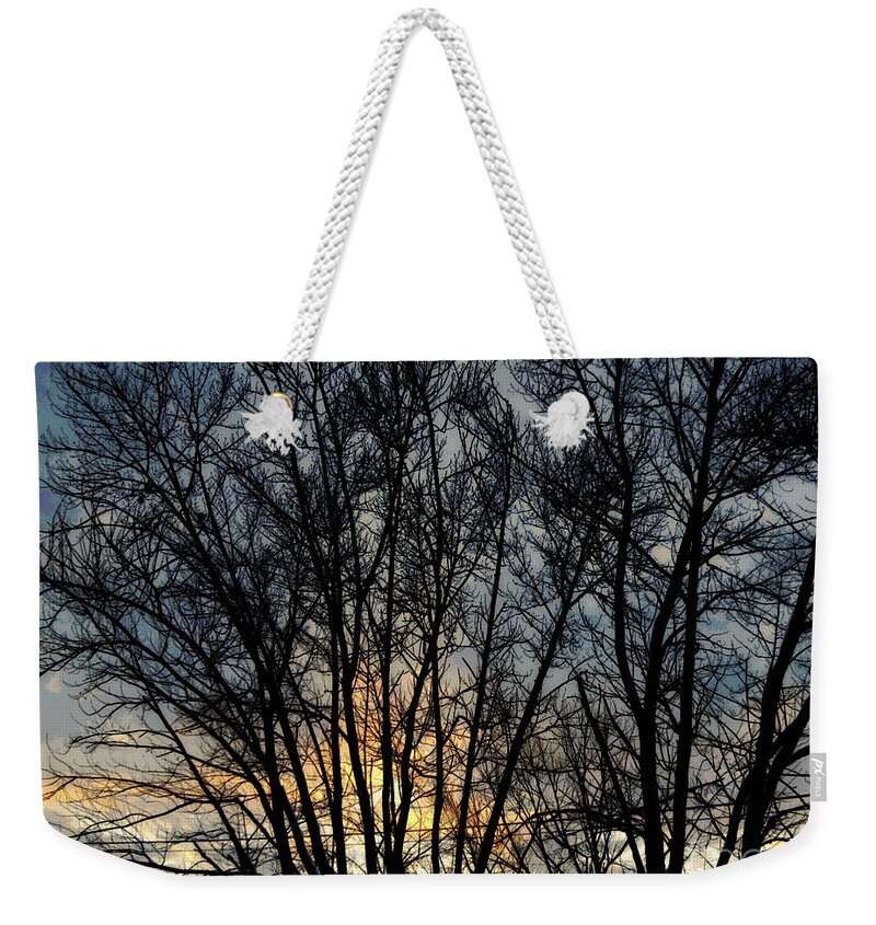 Nature Weekender Tote Bag featuring the photograph Rooftop Winter Sunset - Impressionism by Frank J Casella
