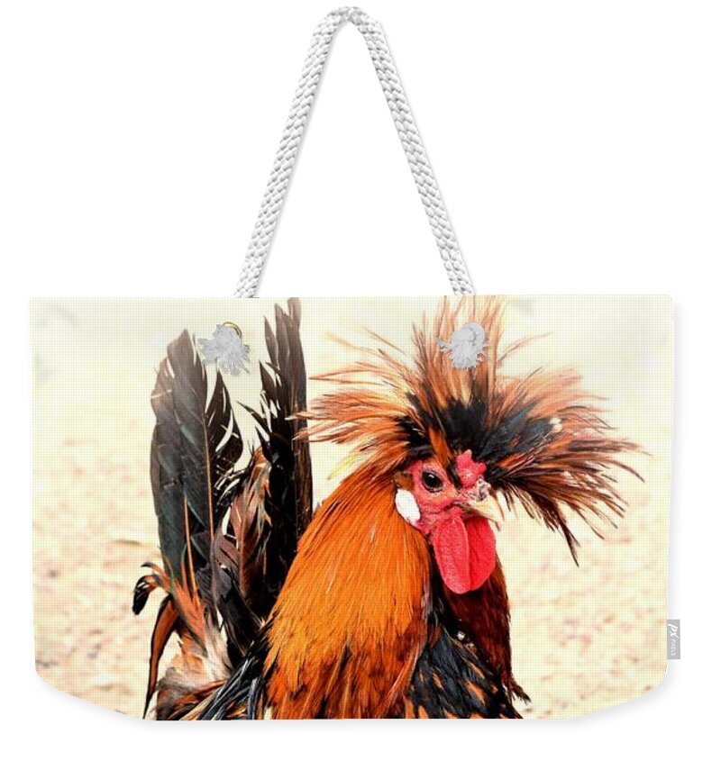 Rooster Weekender Tote Bag featuring the photograph Rooster Photo 136 by Lucie Dumas