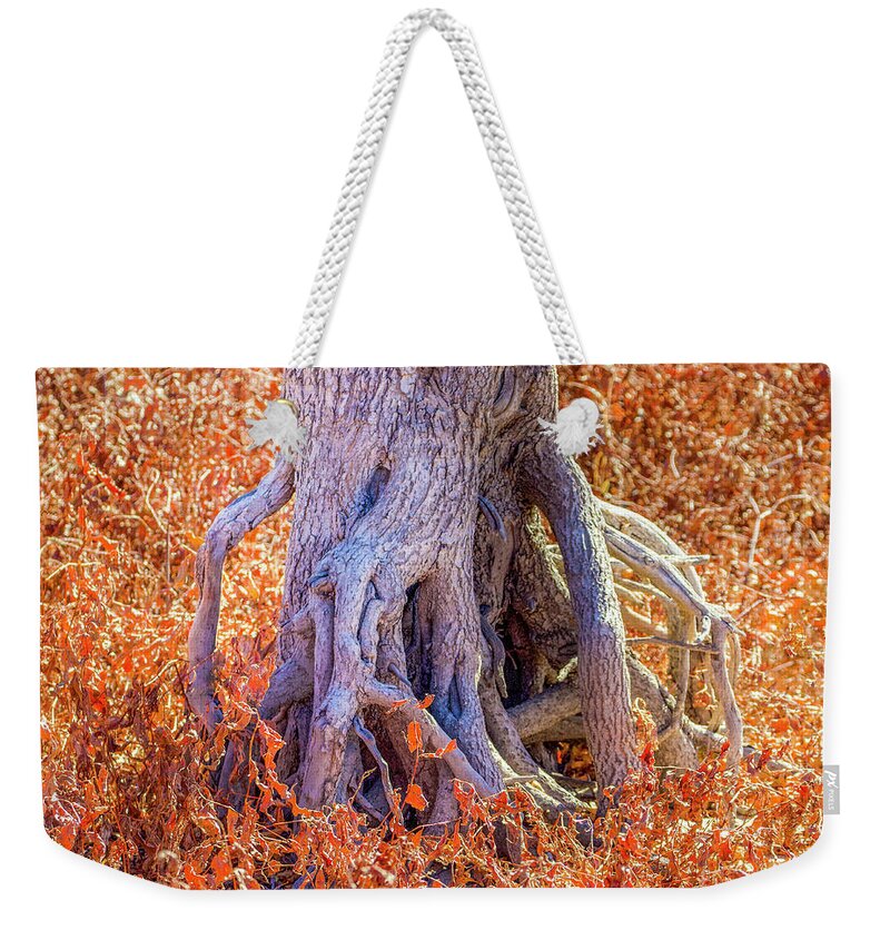 Roots Weekender Tote Bag featuring the photograph Roots by Shirley Dutchkowski