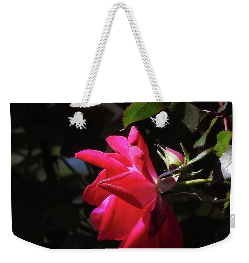 Red Weekender Tote Bag featuring the photograph Rose 14  by Lizi Beard-Ward