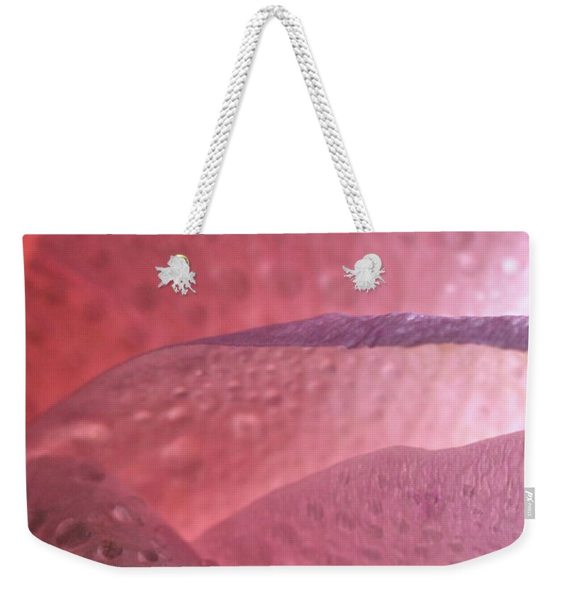 Macro Weekender Tote Bag featuring the photograph Rose 4069 by Julie Powell