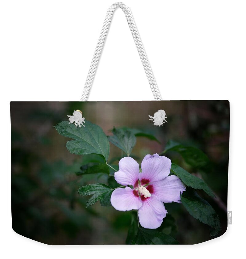 Flower Weekender Tote Bag featuring the photograph Rose of Sharon by DArcy Evans