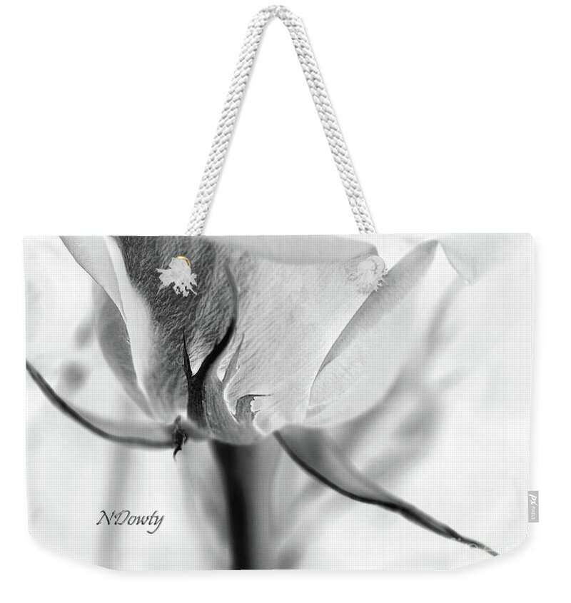 Rose Sepal Bw Weekender Tote Bag featuring the photograph Rose Sepal BW by Natalie Dowty