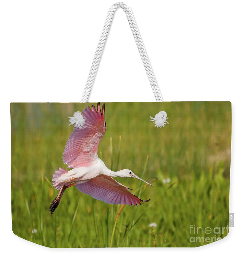 Spoonbill Weekender Tote Bag featuring the photograph Roseata Spoonbill by Les Greenwood