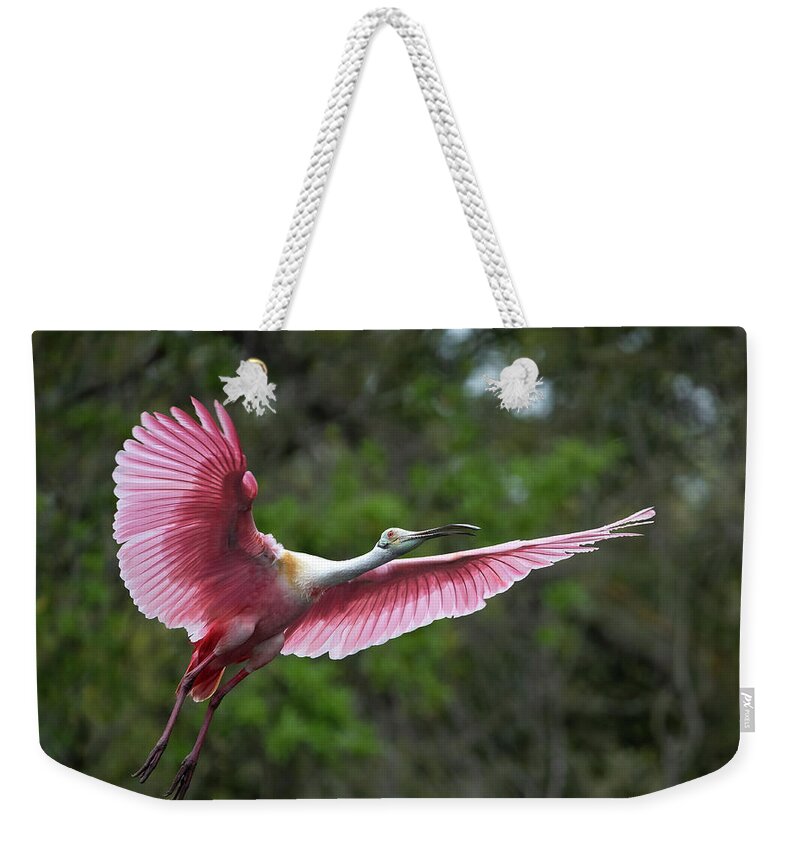  Weekender Tote Bag featuring the photograph Roseate Flight by Jim Miller