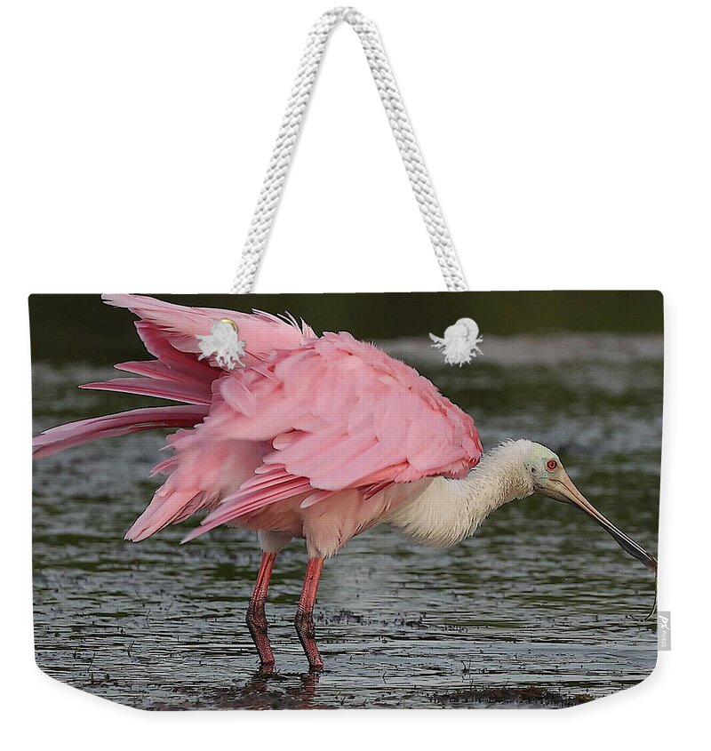 Roseate Spoonbill Weekender Tote Bag featuring the photograph Roseate Spoonbill 14 by Mingming Jiang
