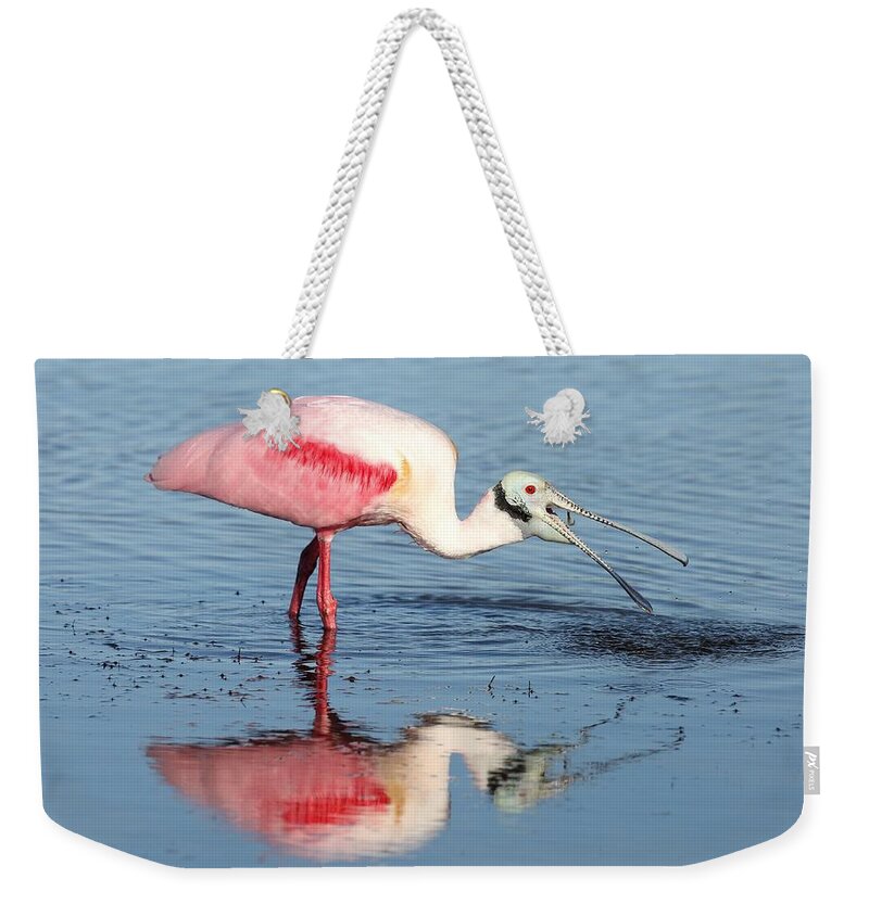 Roseate Spoonbill Weekender Tote Bag featuring the photograph Roseate Spoonbill 17 by Mingming Jiang