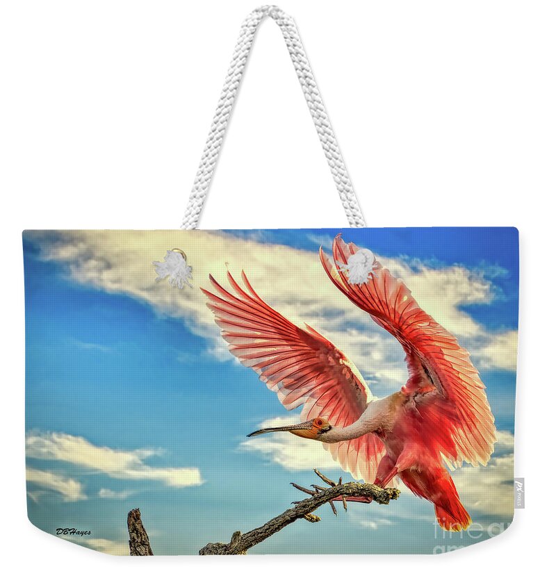 Birds Weekender Tote Bag featuring the photograph Roseate Spoonbill by DB Hayes