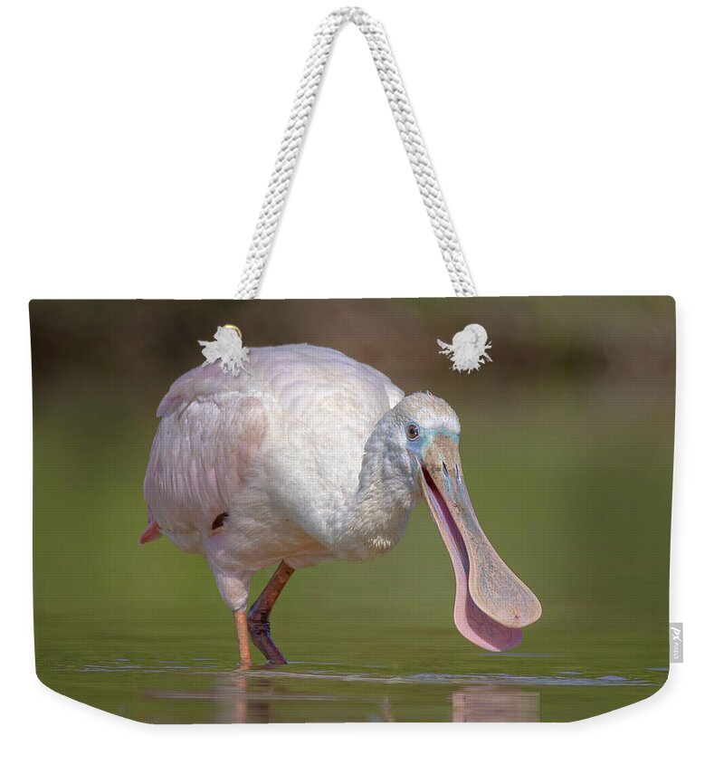(platalea Ajaja) Weekender Tote Bag featuring the photograph Roseate Spoonbill by James Capo