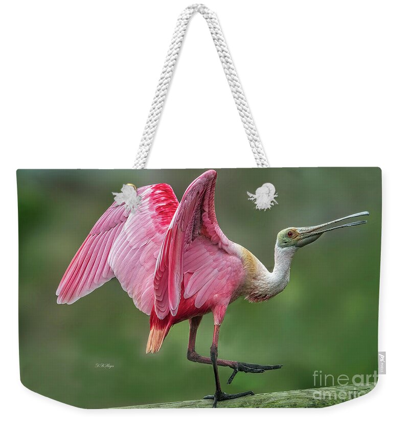 Birds Weekender Tote Bag featuring the photograph Roseate Spoonbill Portrait by DB Hayes