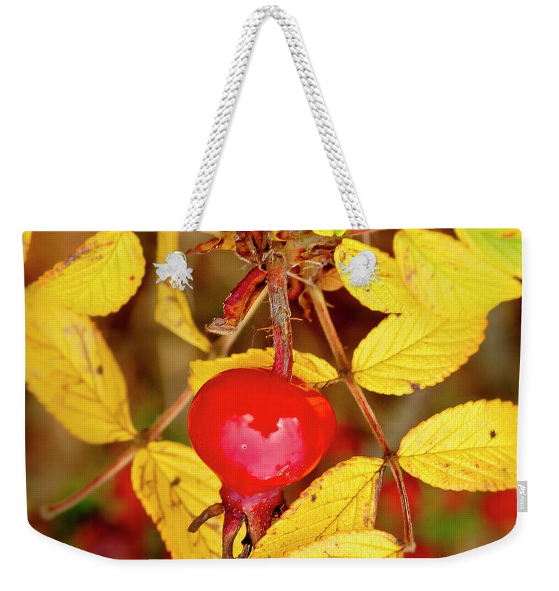 Rose Hip Weekender Tote Bag featuring the photograph Rosehip. Winter is coming. by Elena Perelman