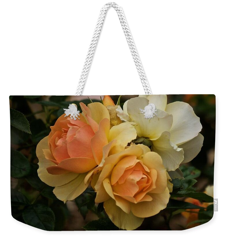 Roses Weekender Tote Bag featuring the photograph Roses 2020 by Richard Cummings