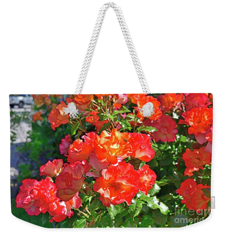 Red Roses Weekender Tote Bag featuring the photograph Roses and Honey Bee by Amazing Action Photo Video