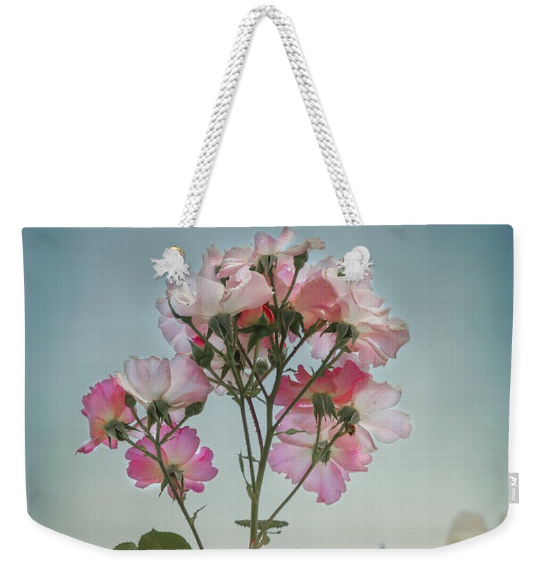 Roses Weekender Tote Bag featuring the photograph Roses in the Sky by Elaine Teague