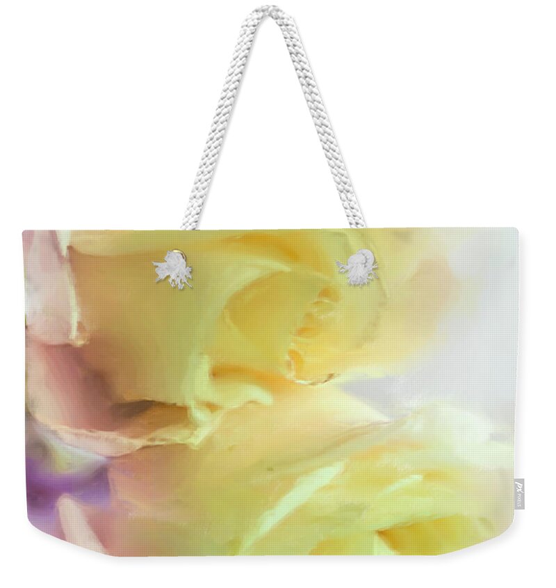 Rose Weekender Tote Bag featuring the photograph Roses Painted by Cordia Murphy