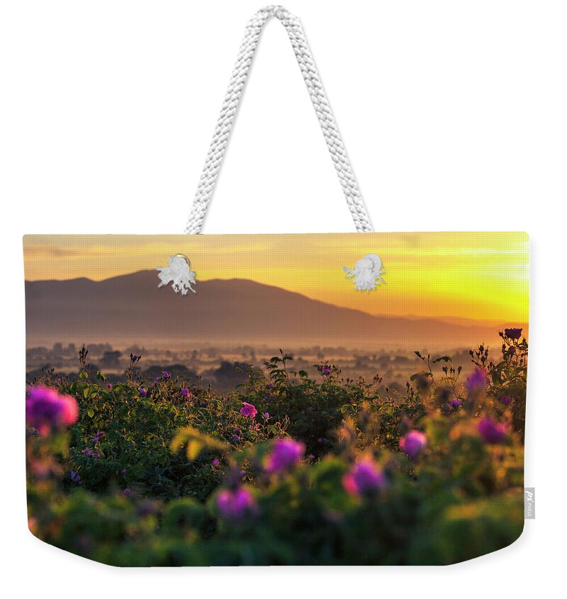Bulgaria Weekender Tote Bag featuring the photograph Roses Valley by Evgeni Dinev