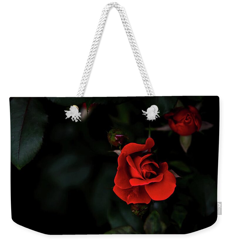 Landscape Weekender Tote Bag featuring the photograph Rosie Red by G Lamar Yancy