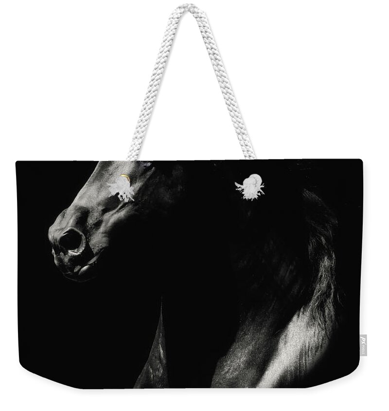 Friesian Weekender Tote Bag featuring the photograph Royal Friesian Stallion by Lori Ann Thwing