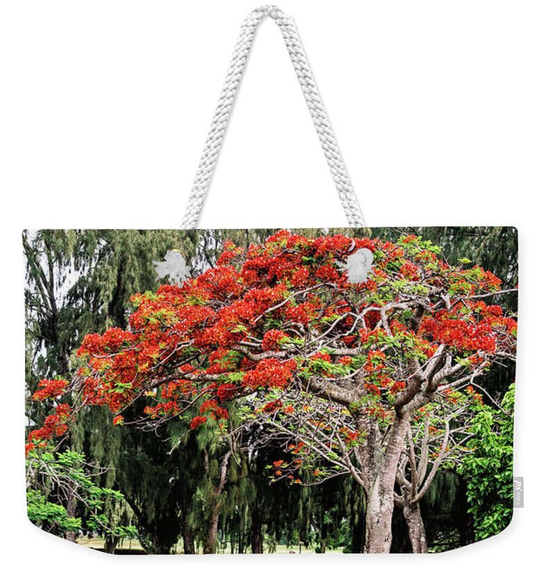 Red Weekender Tote Bag featuring the photograph Royal Poinciana Tree - Kauai by Scott Pellegrin
